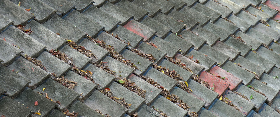 Roof Drain Repair in Normandy Village, California